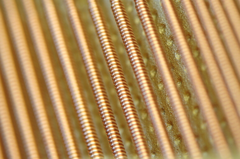 DSC_0440